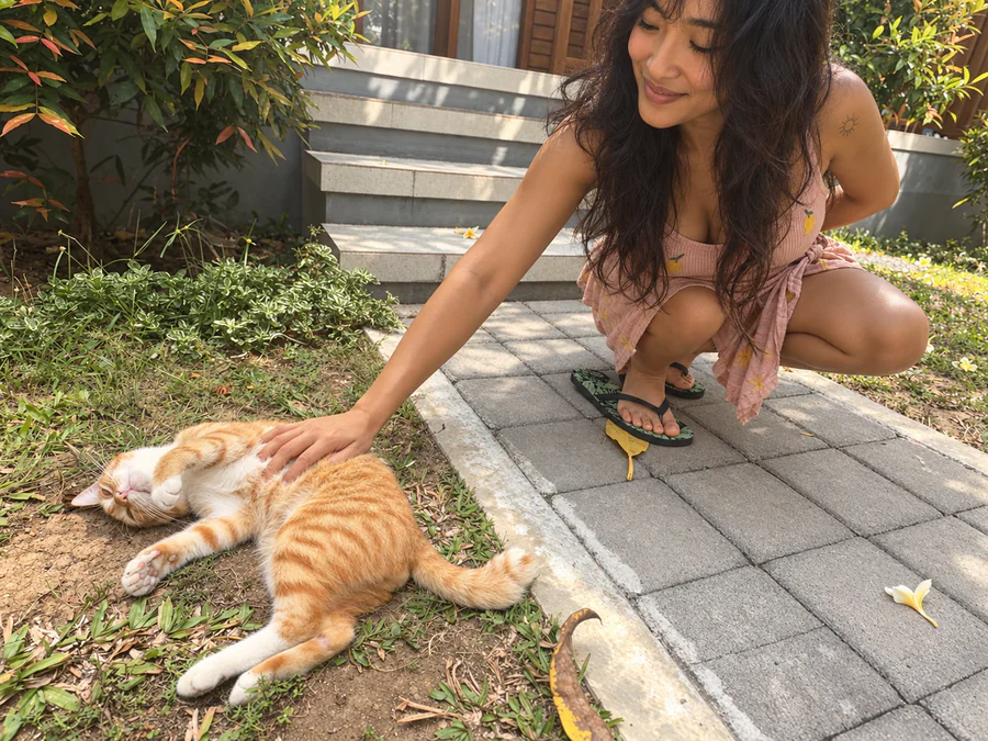 Nomad guest petting Ninja the cat in the garden at Ungasan Center Hostel